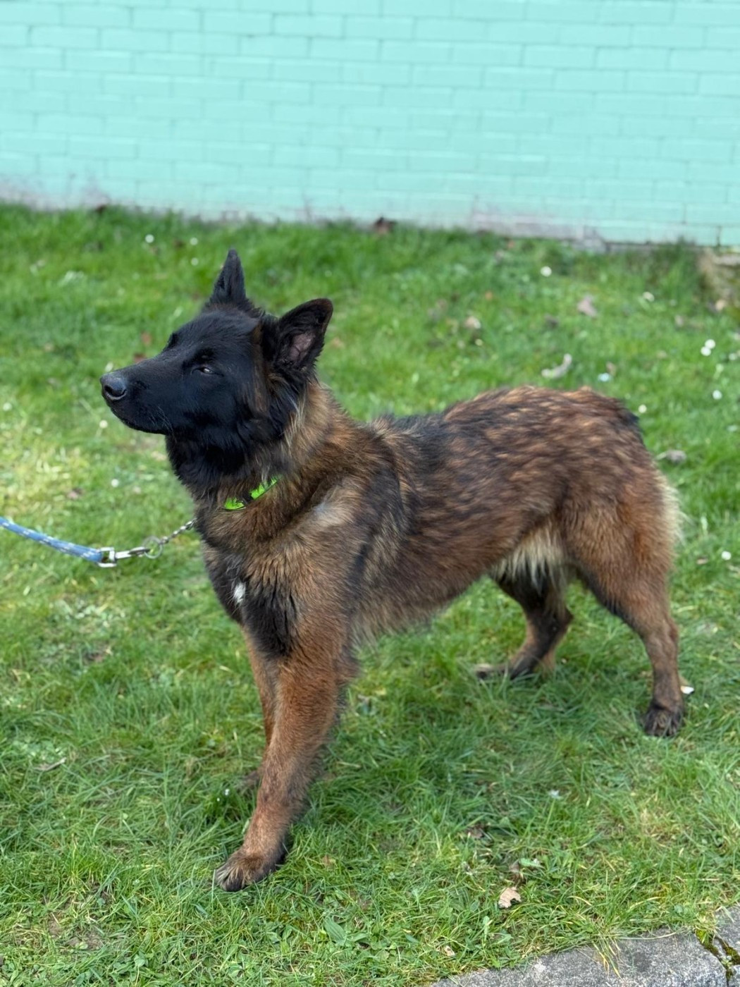 Publication : De La Patte Sacrée