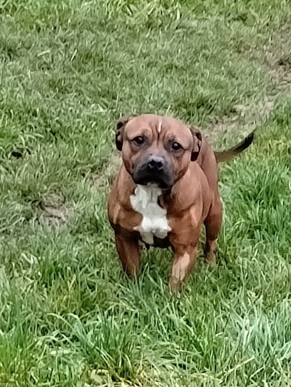 Publication : (Sans Affixe)