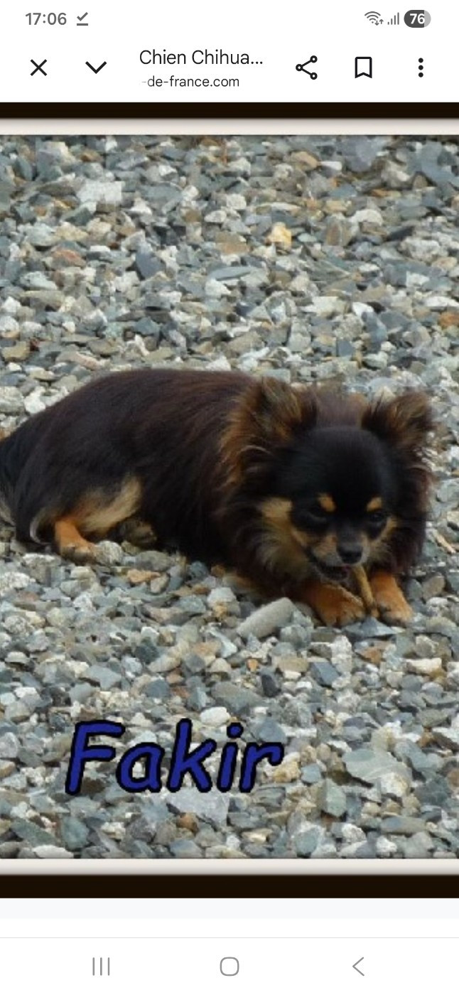 Fakir du paradis des icones Fakir