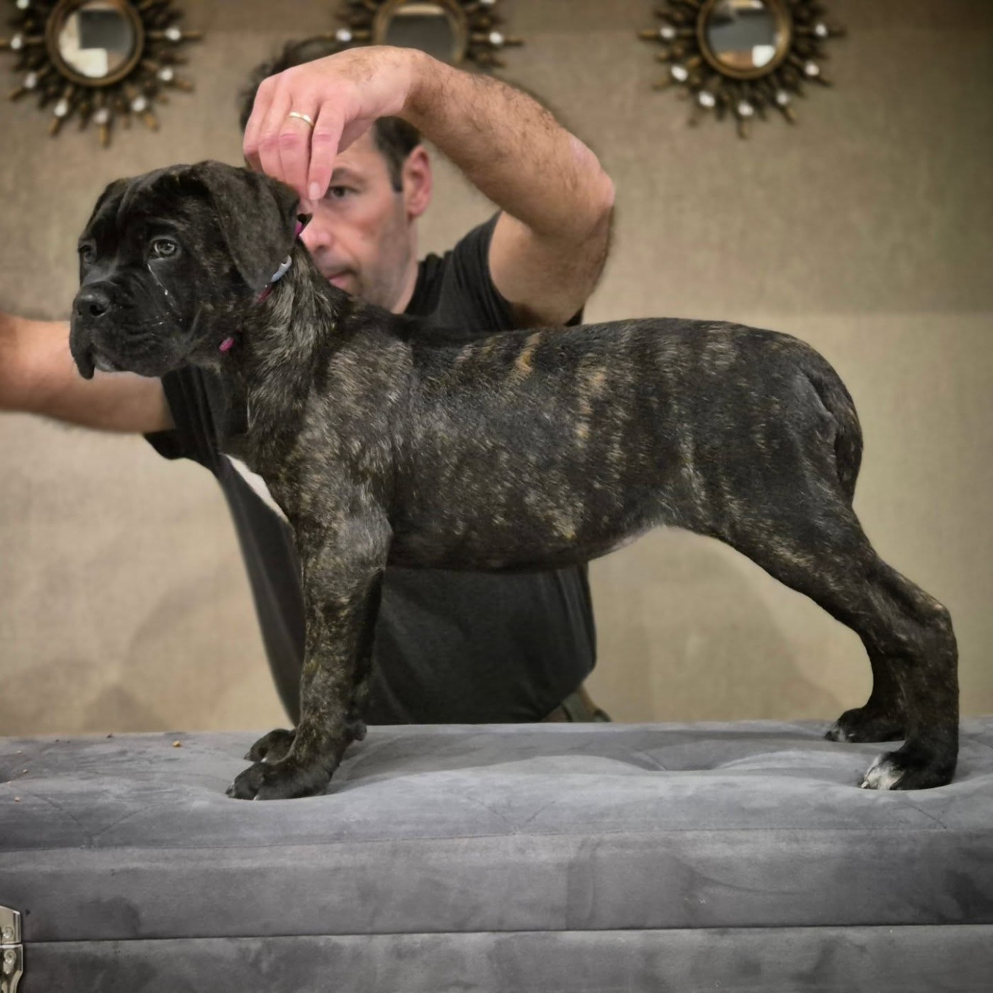 Publication : Du Pays De La Tribo 