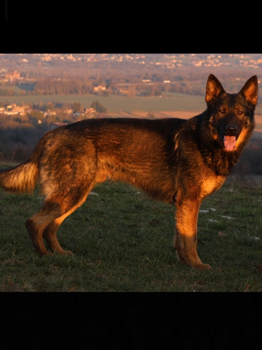Publication : La Légende De Iako Auteur : Bernard POULIQUEN