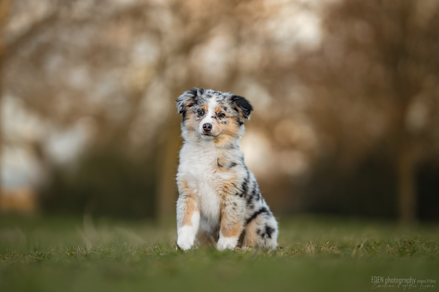 Publication : du Domaine de Milk