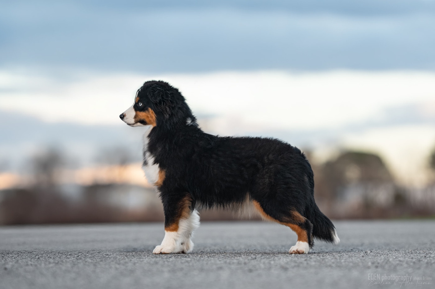 Publication : du Domaine de Milk