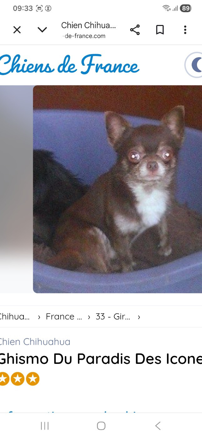 Ghismo du paradis des icones 