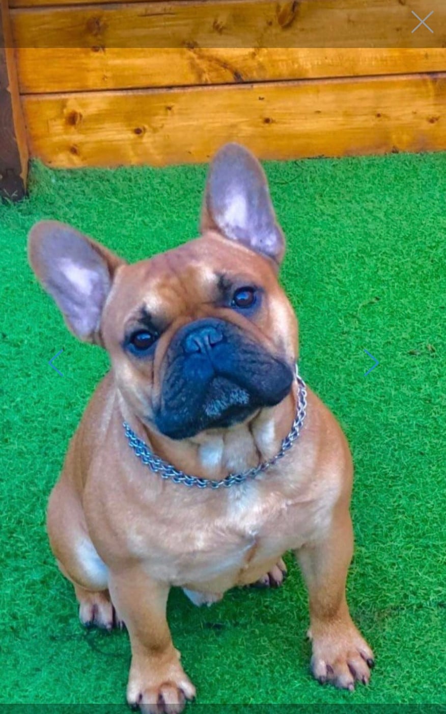 Publication : Of The Peaky's French-House