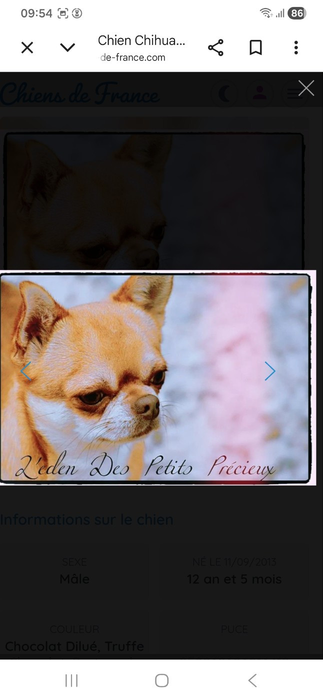 Iwok de la roche de l empereur Iwokde la roche de l empereur