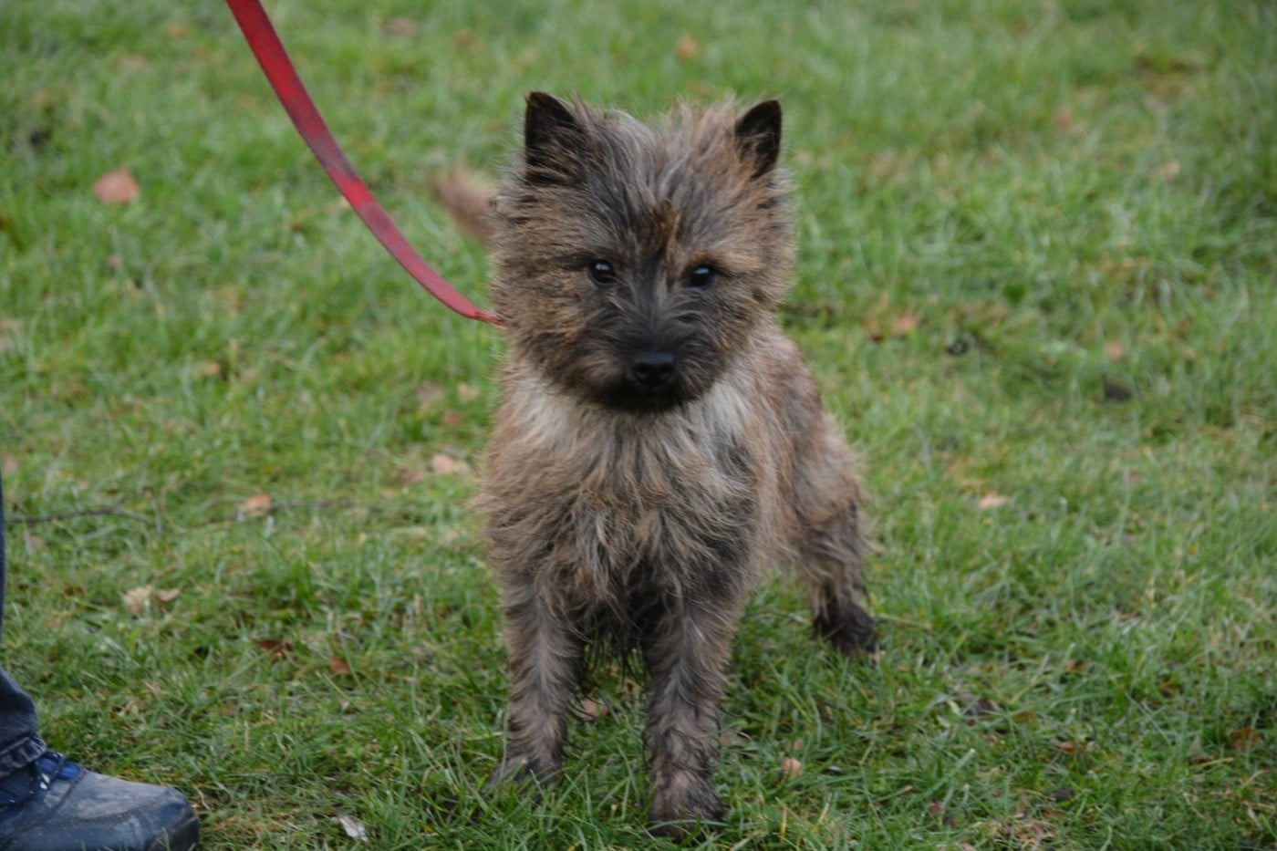 Publication : By Bidule Auteur : Hélène Devos