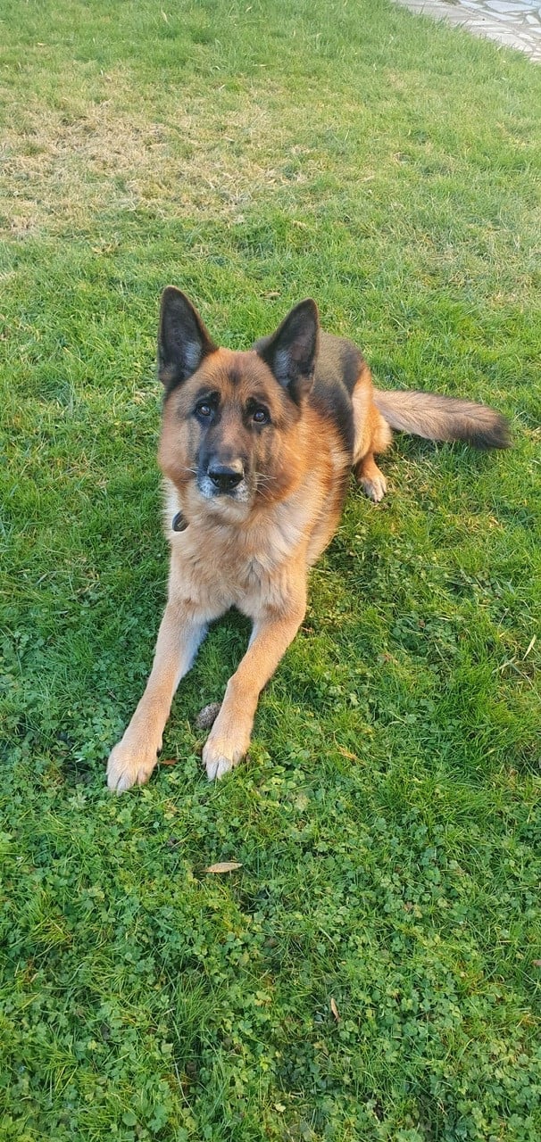 Publication : Du Haut De Rivecourt