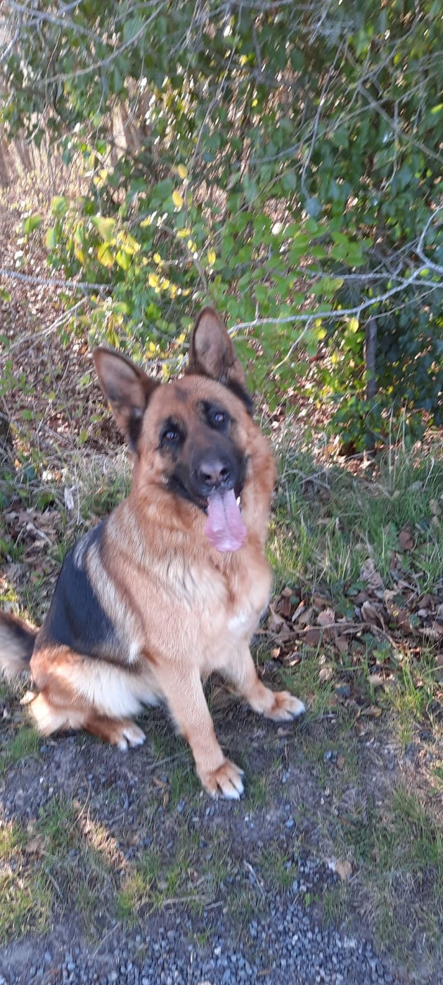 Publication : Du Haut De Rivecourt