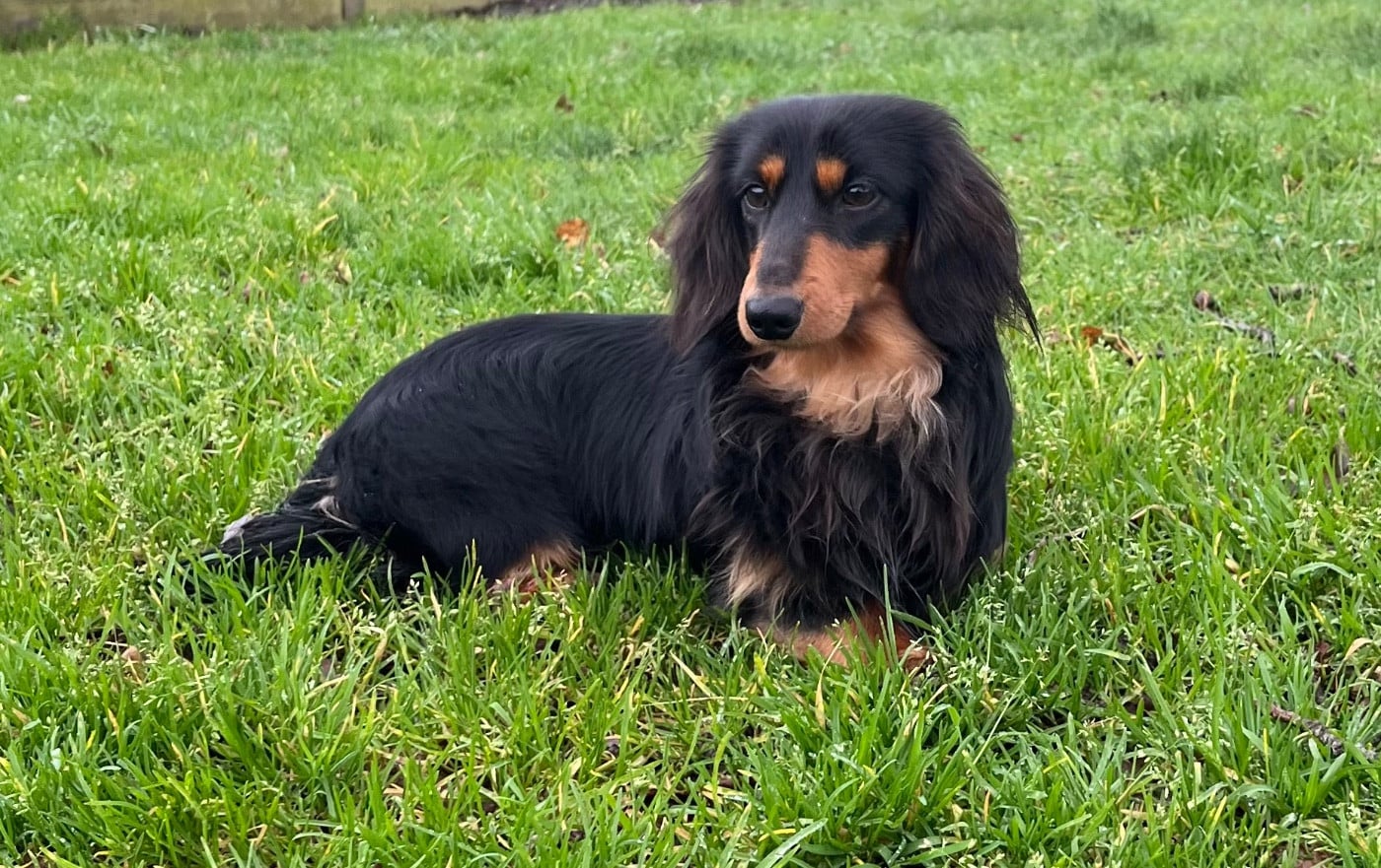 Publication : Des Vents D'Océan