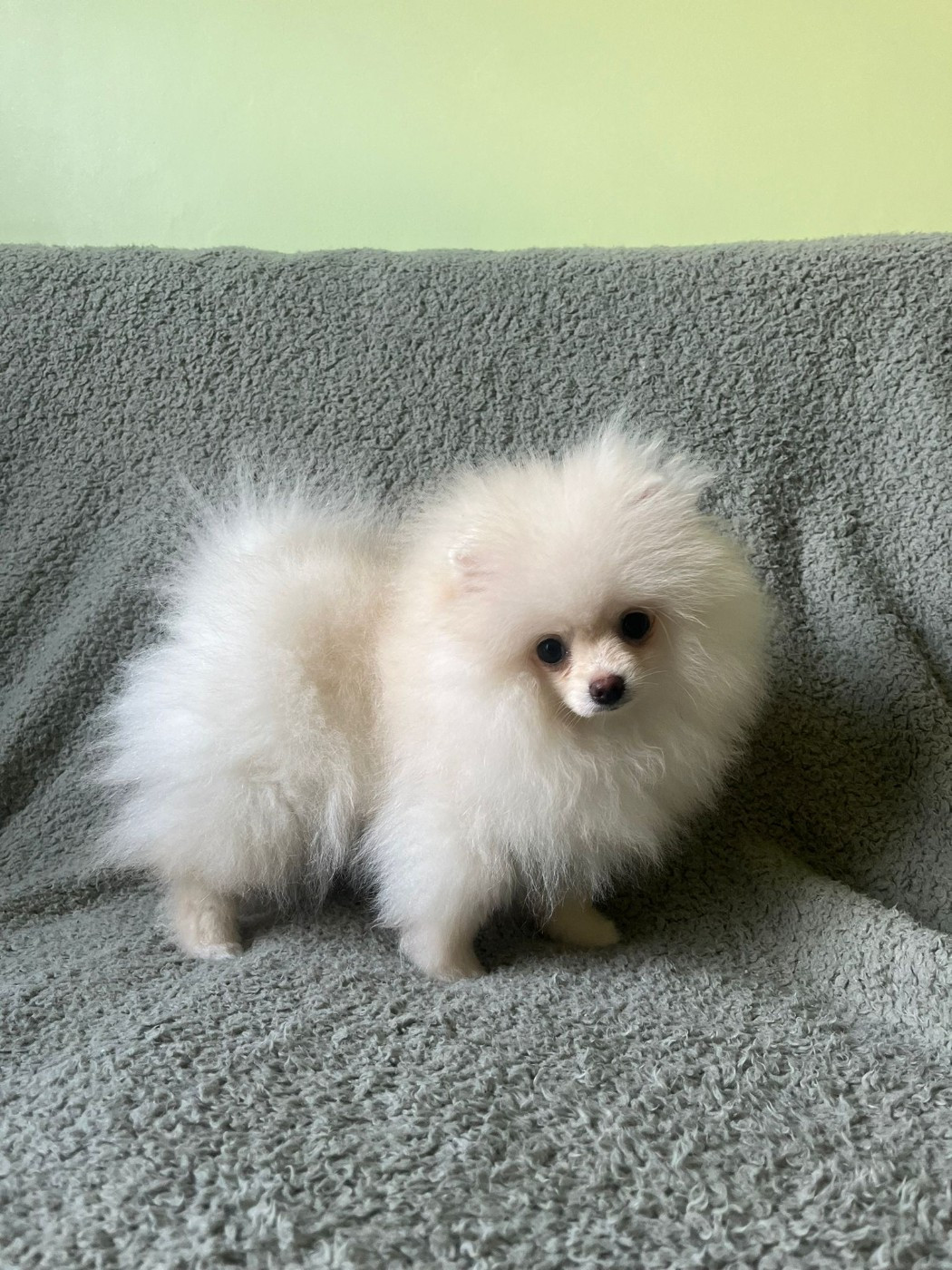 Publication : De La Fortune De Magie