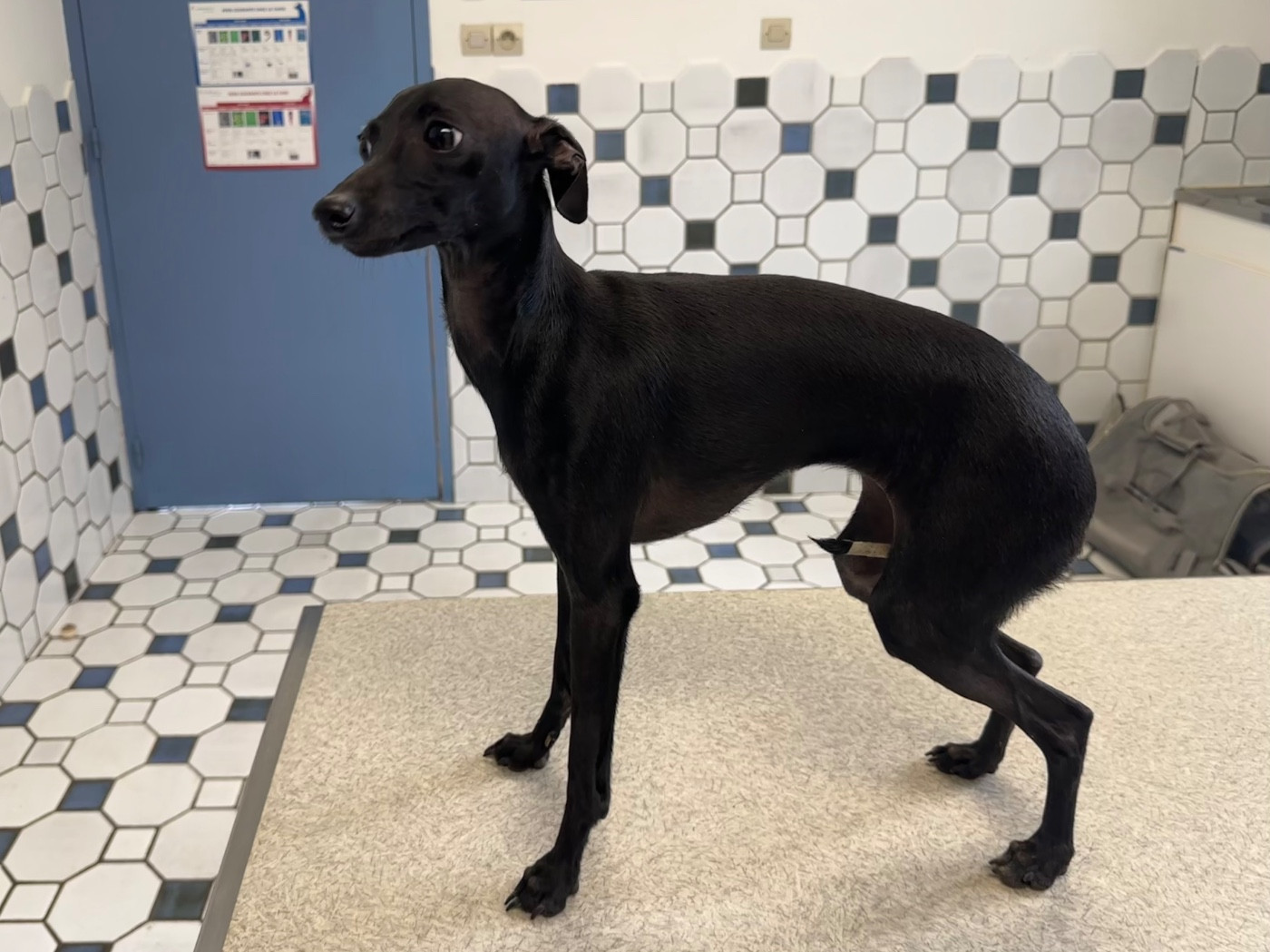 Publication : De La Squadra D'Elite