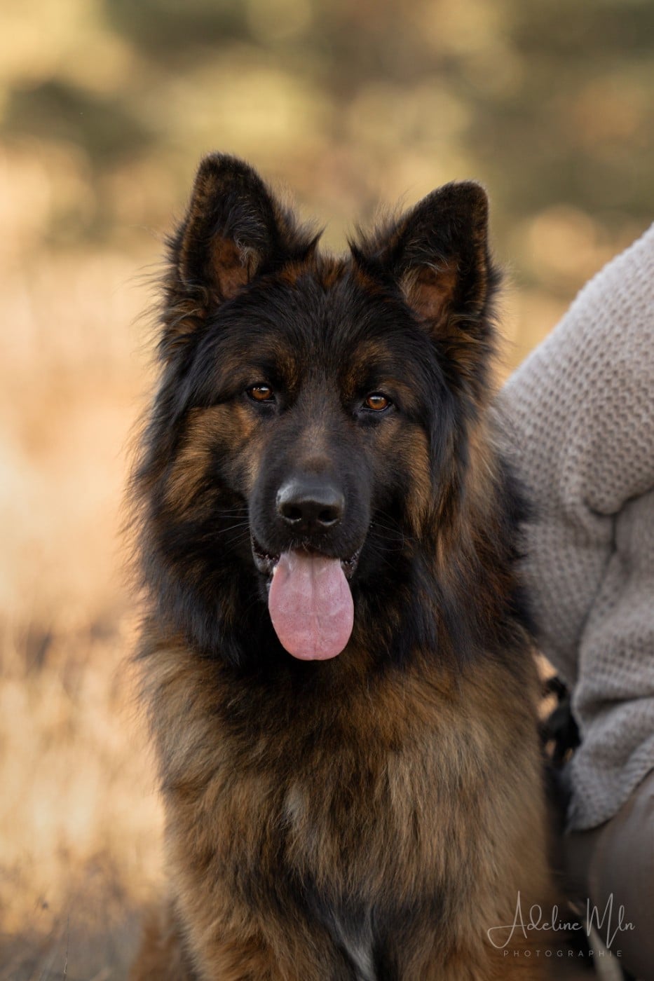 Publication : De L'Etoile D'Amély Auteur : Adeline Mln photographie