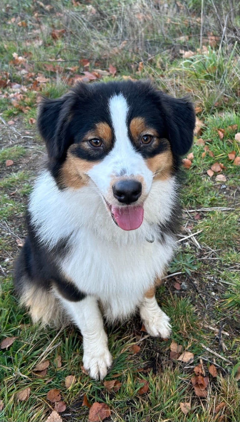 Publication : Des Carrières Du Maupuy