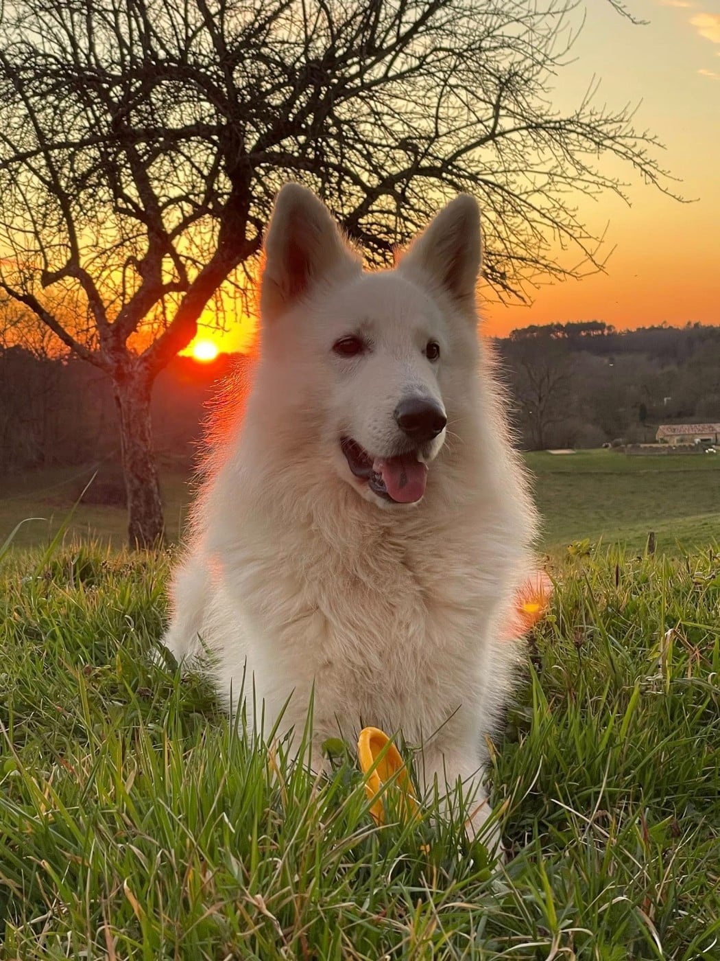 UNI AUX ANGES TAIKO Entre Ciel Et Terre