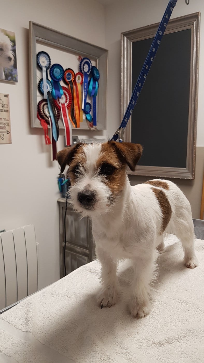 Publication : Les landes ecossaises 