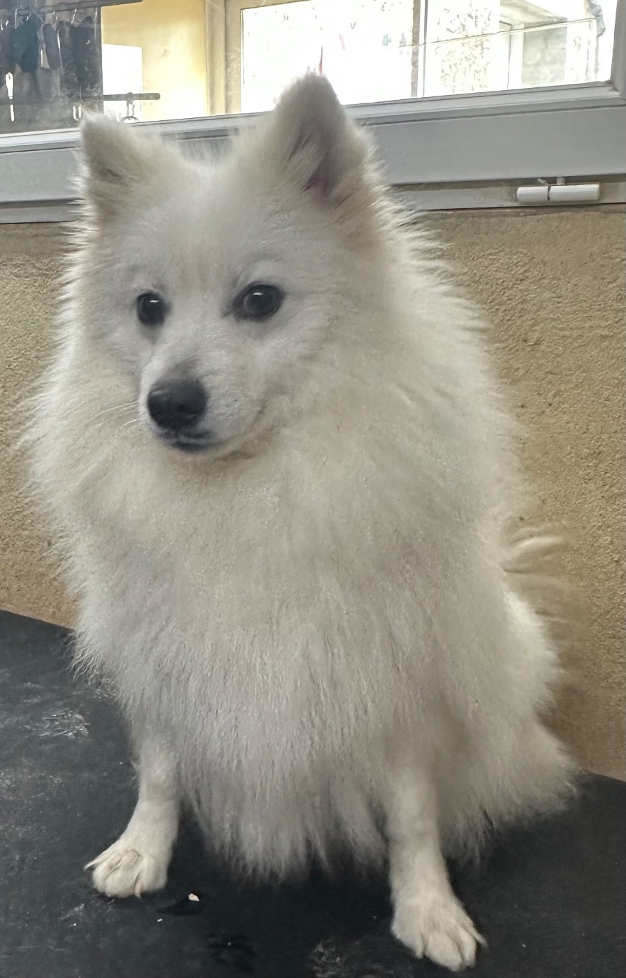 Publication : de Jerrie Black 