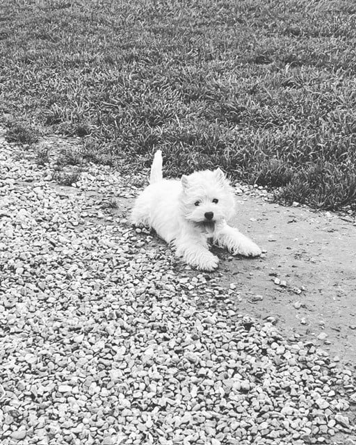 Publication : just for me 