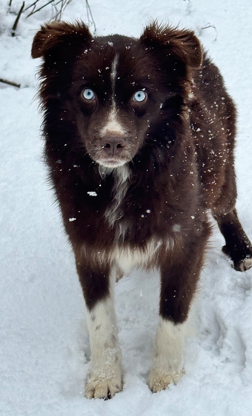 Publication : (Sans Affixe) 