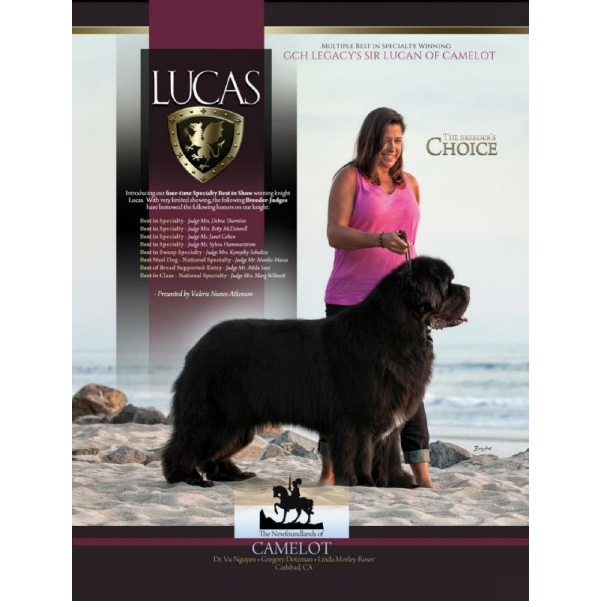 CH. legacy's Sir Lucan Of Camelot