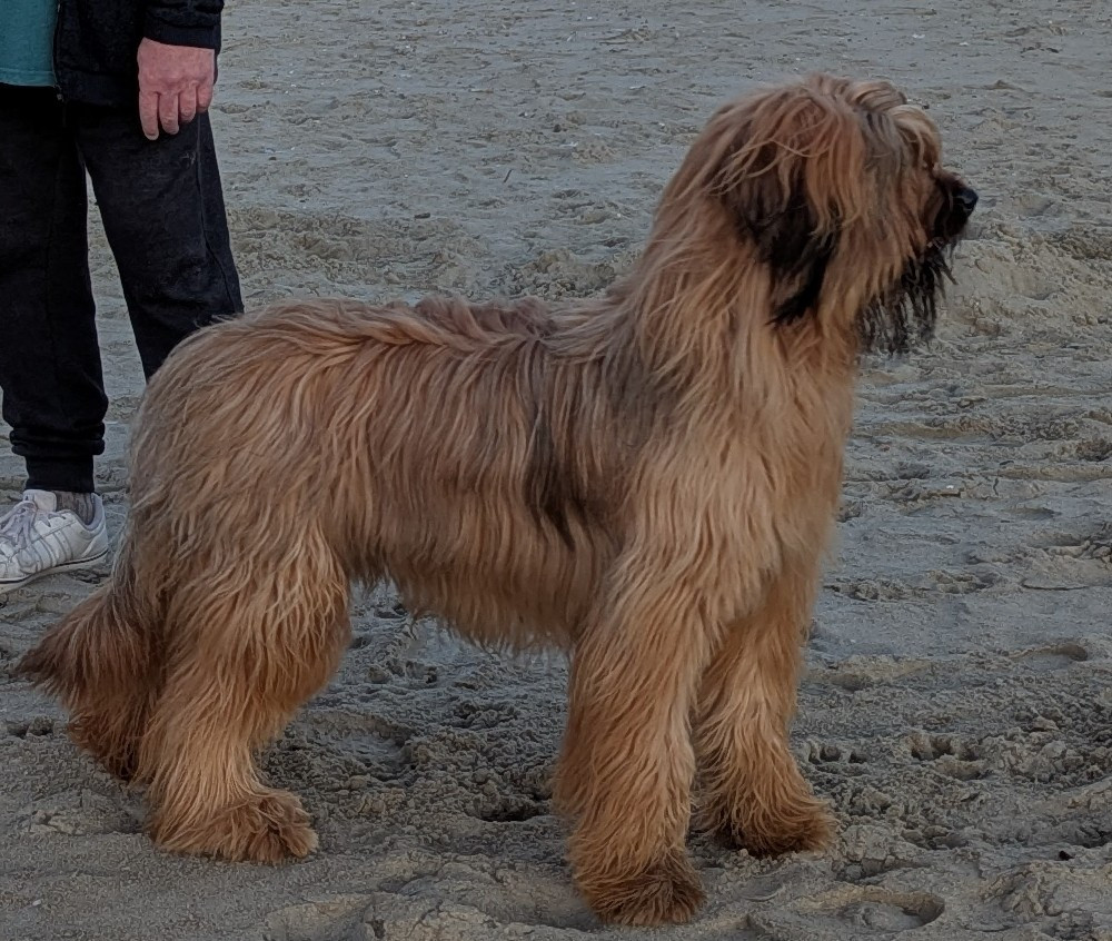 Publication : des gardiens du petit ange