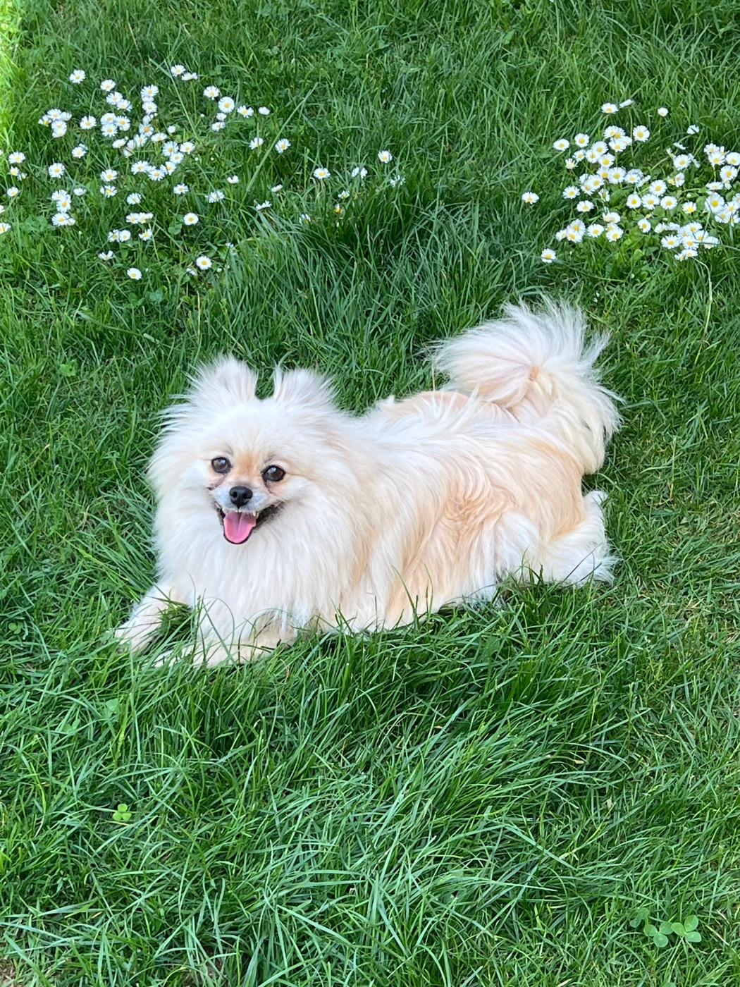 Publication : au jardin des merveilles