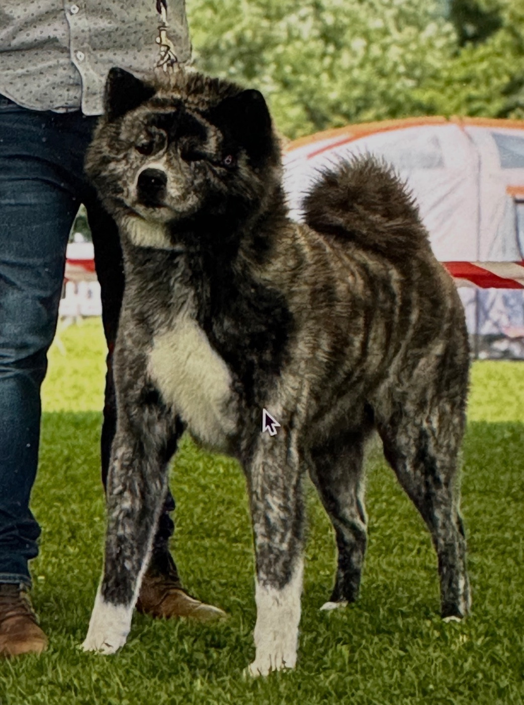 Publication : du Clos des Chtis 