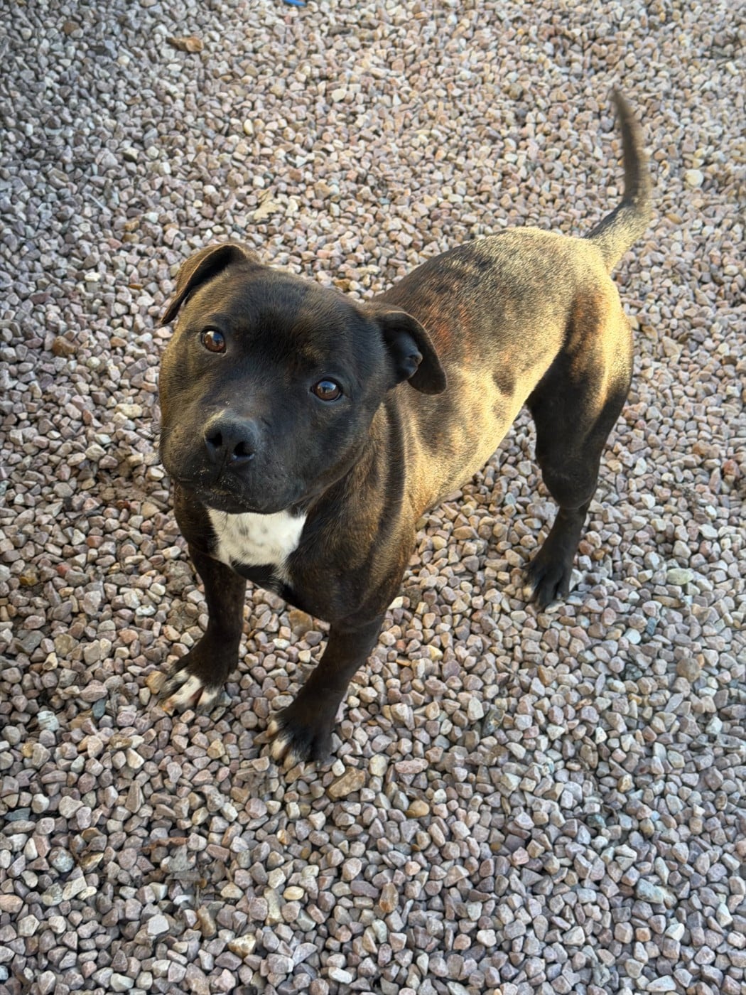 Publication : du royaume de nati 