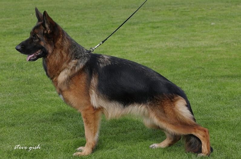 Rasta du domaine de sanctae crucis