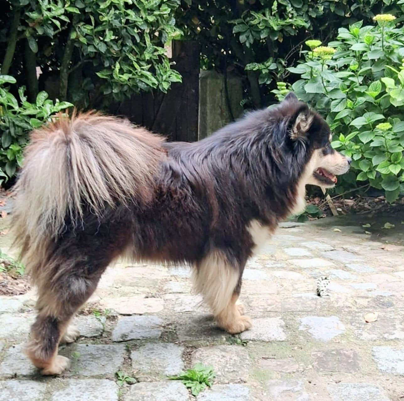 Publication : Du Temple Namasté De Benthéa 