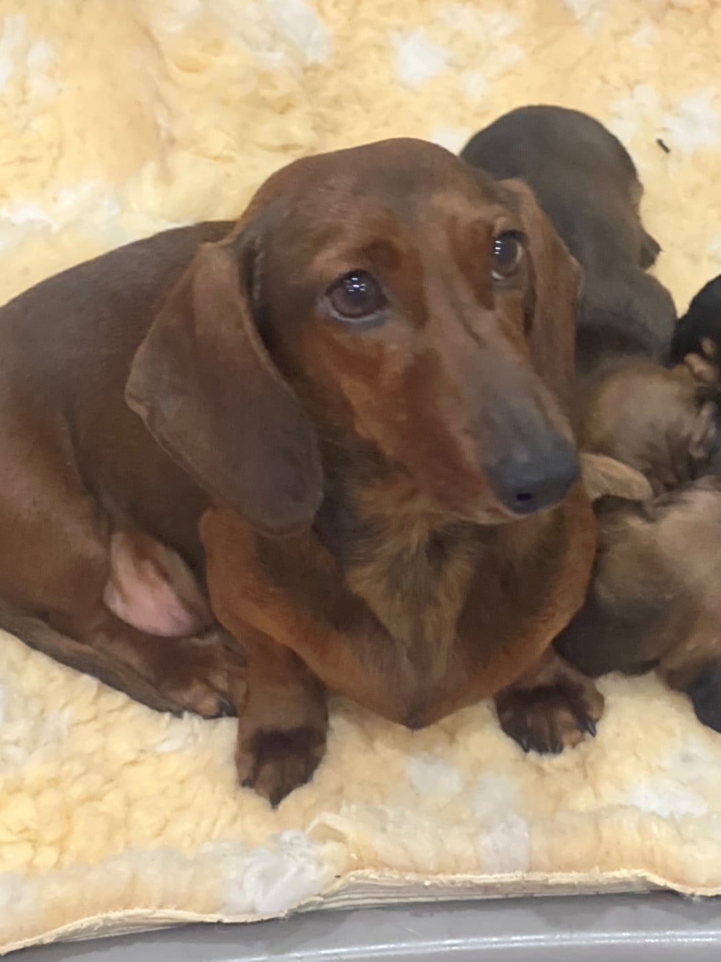 Publication : de la Cité du Guerrier