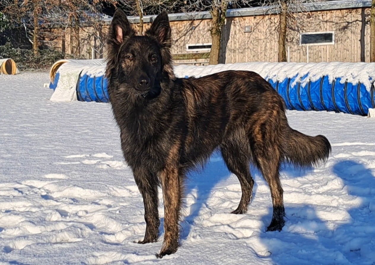 Publication : Of Little Hook Auteur : Little Hook