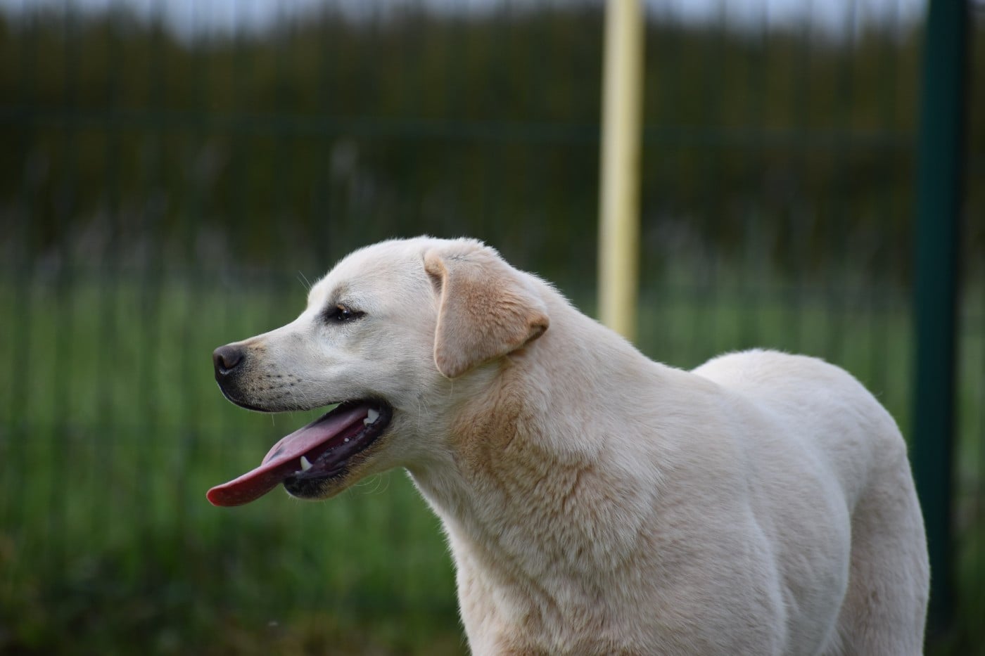 Publication : Des bories de yakoubia