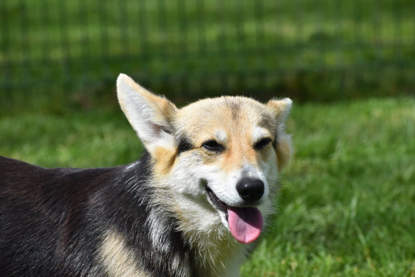 Publication : Des bories de yakoubia Auteur : EARL LES BORIES DE YAKOUBIA