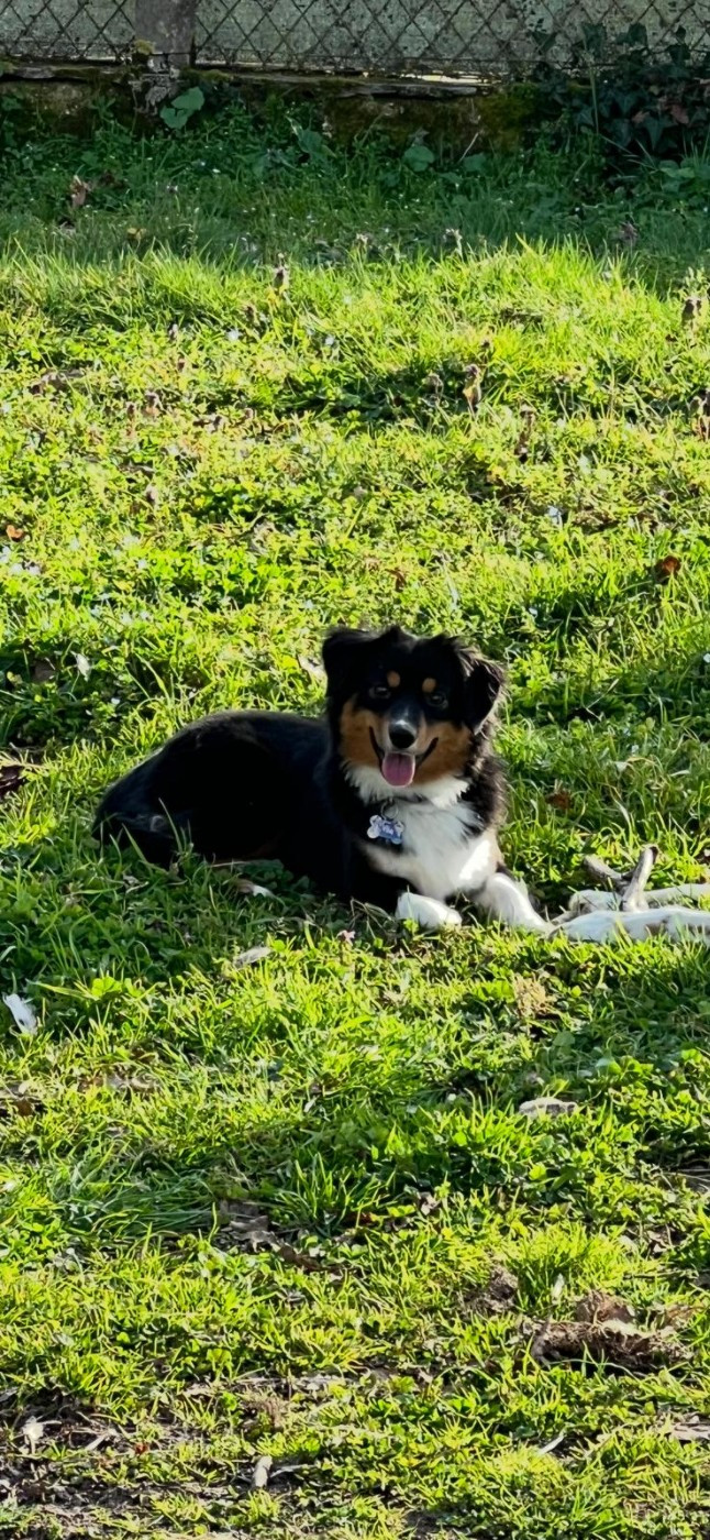 Publication : Of The Little Fairy Moon