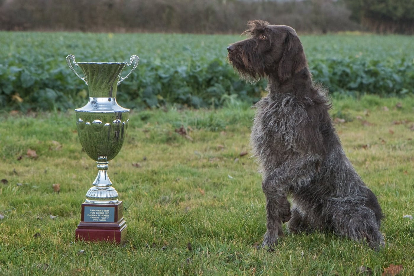 Publication : de Franc Jeu