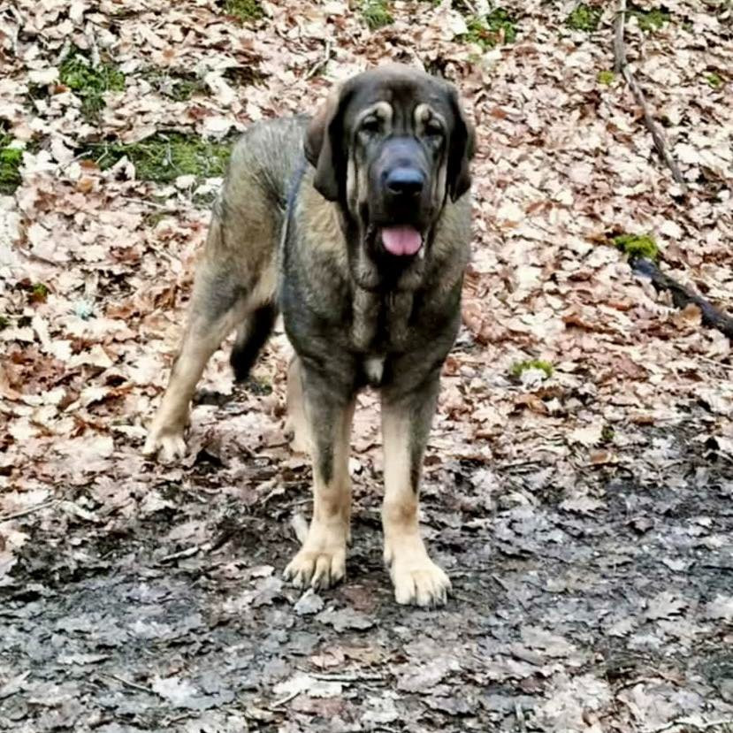 Publication : de la Montée du Col 