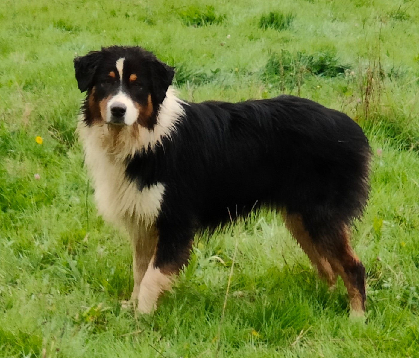 Publication : Des Monts Emerveilles