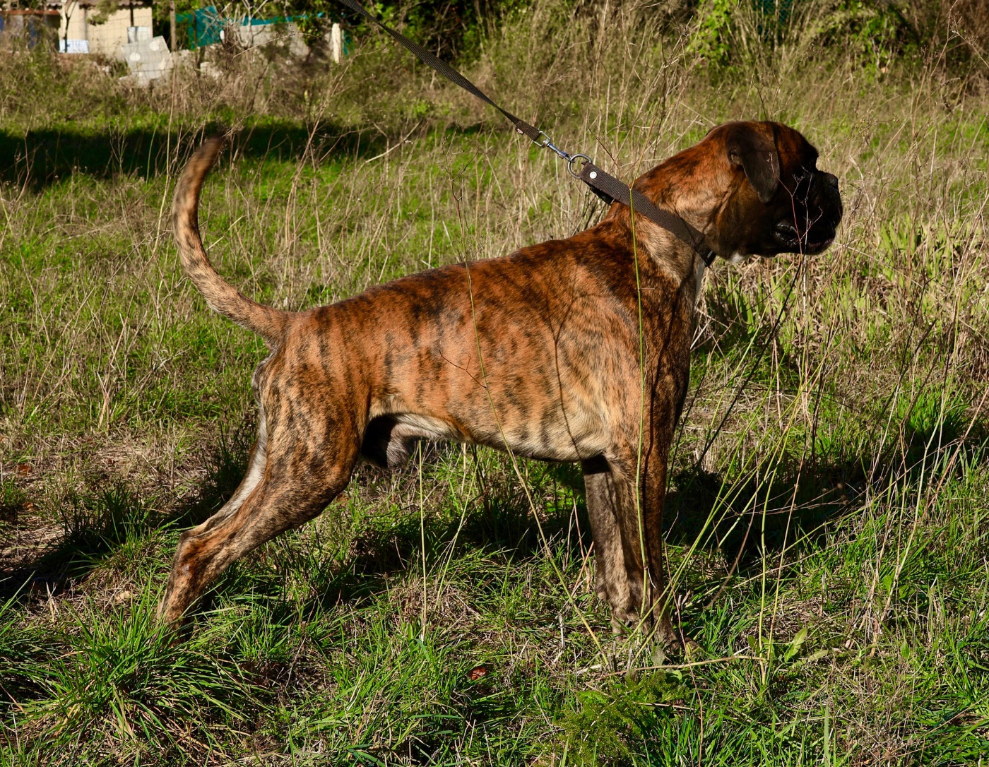 Publication : Babines En Folie 