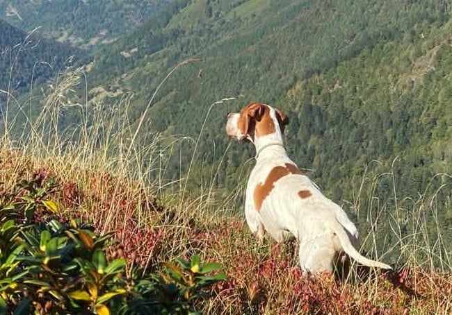 Porto de Coucareille