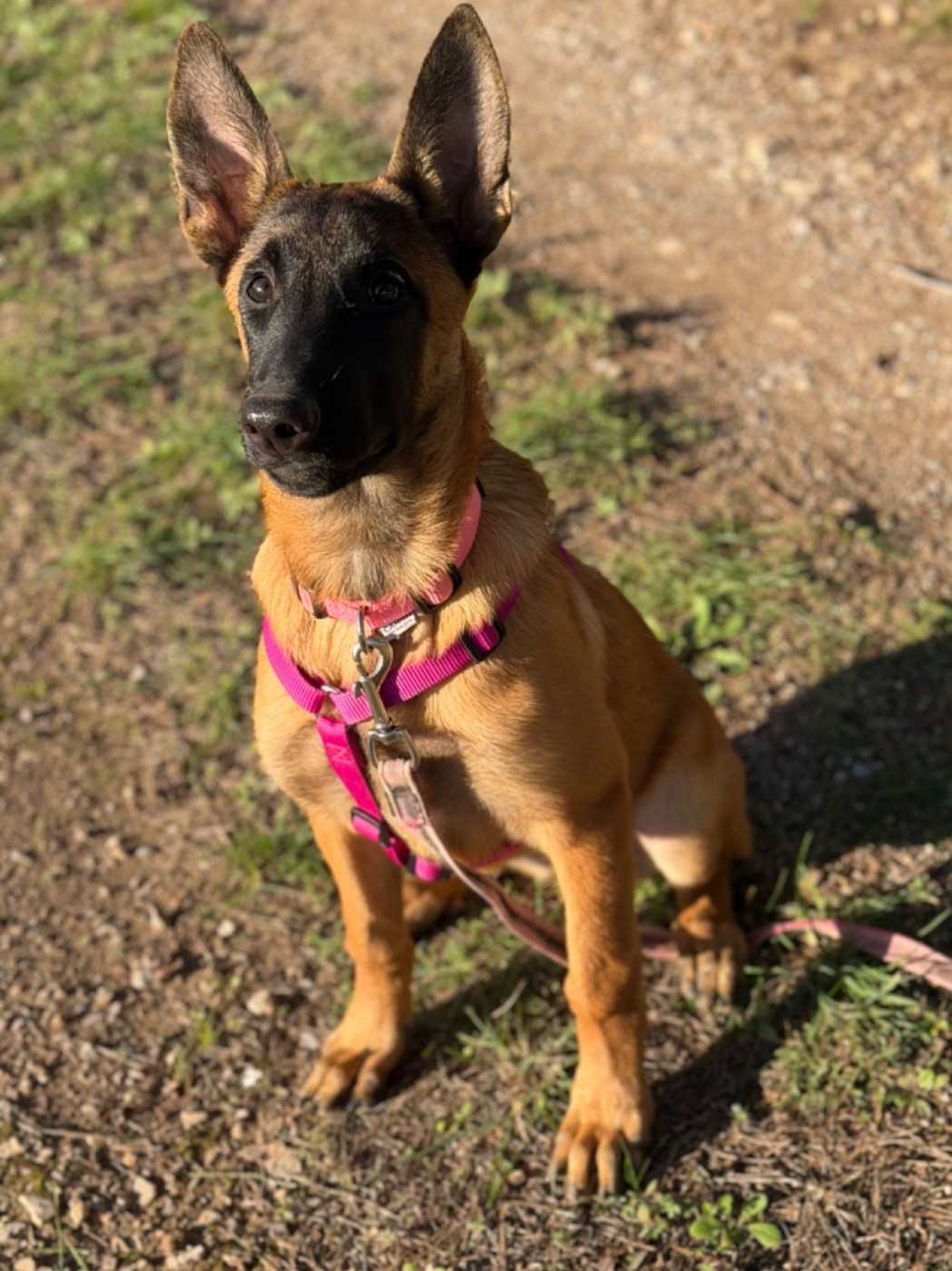 Publication : du Mas des Crozes 