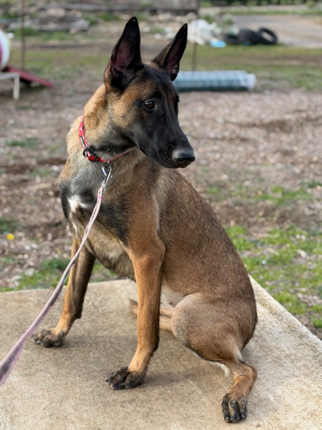 Publication : du Mas des Crozes