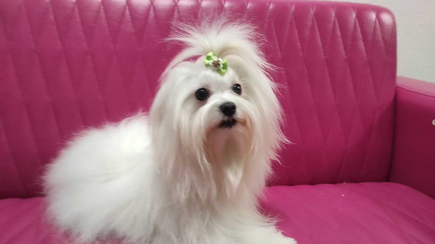 Publication : (Sans Affixe)