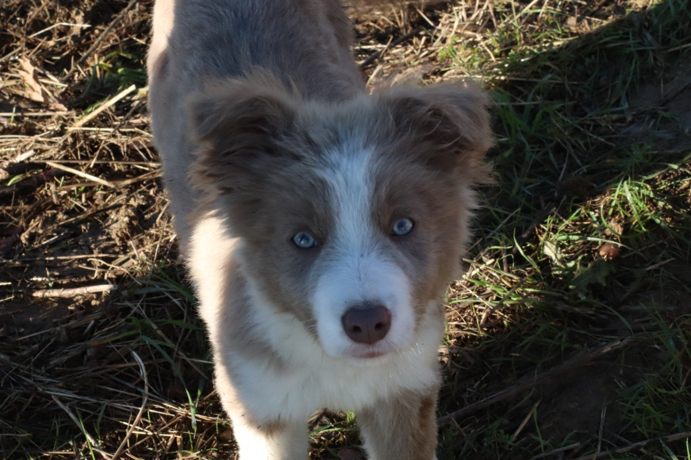 Publication : Des Truffes Colorées 