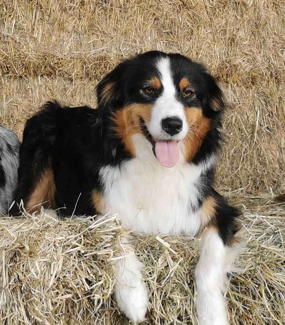 Publication : (Sans Affixe)