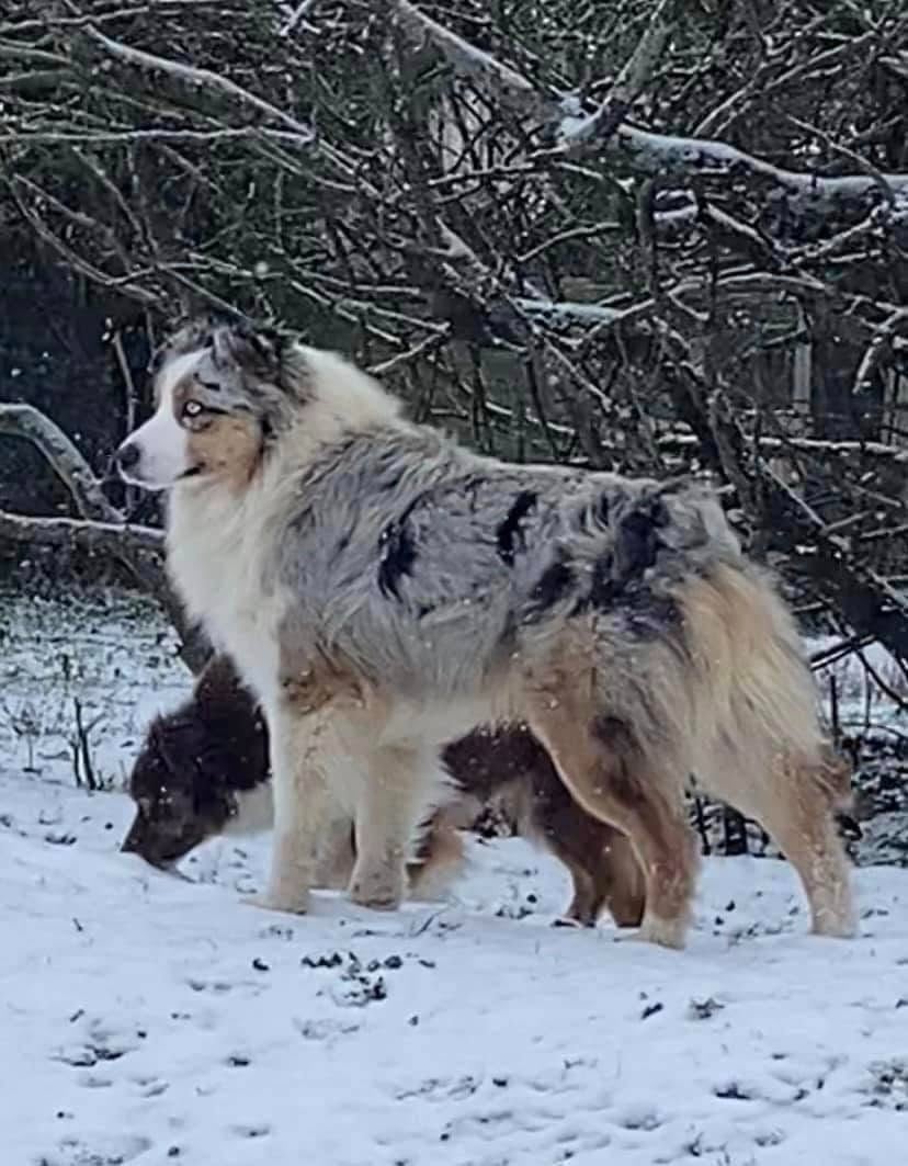 Publication : (Sans Affixe)