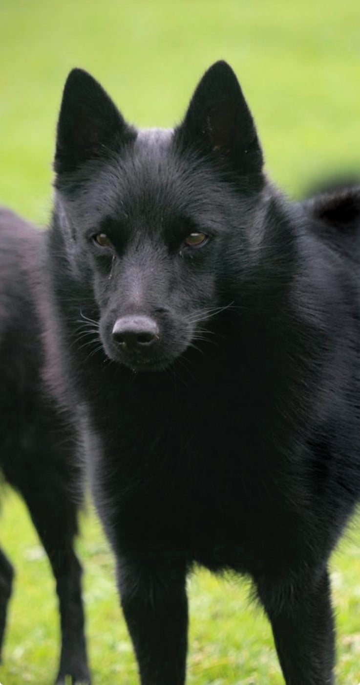 Publication : du Mas de Valaurine 