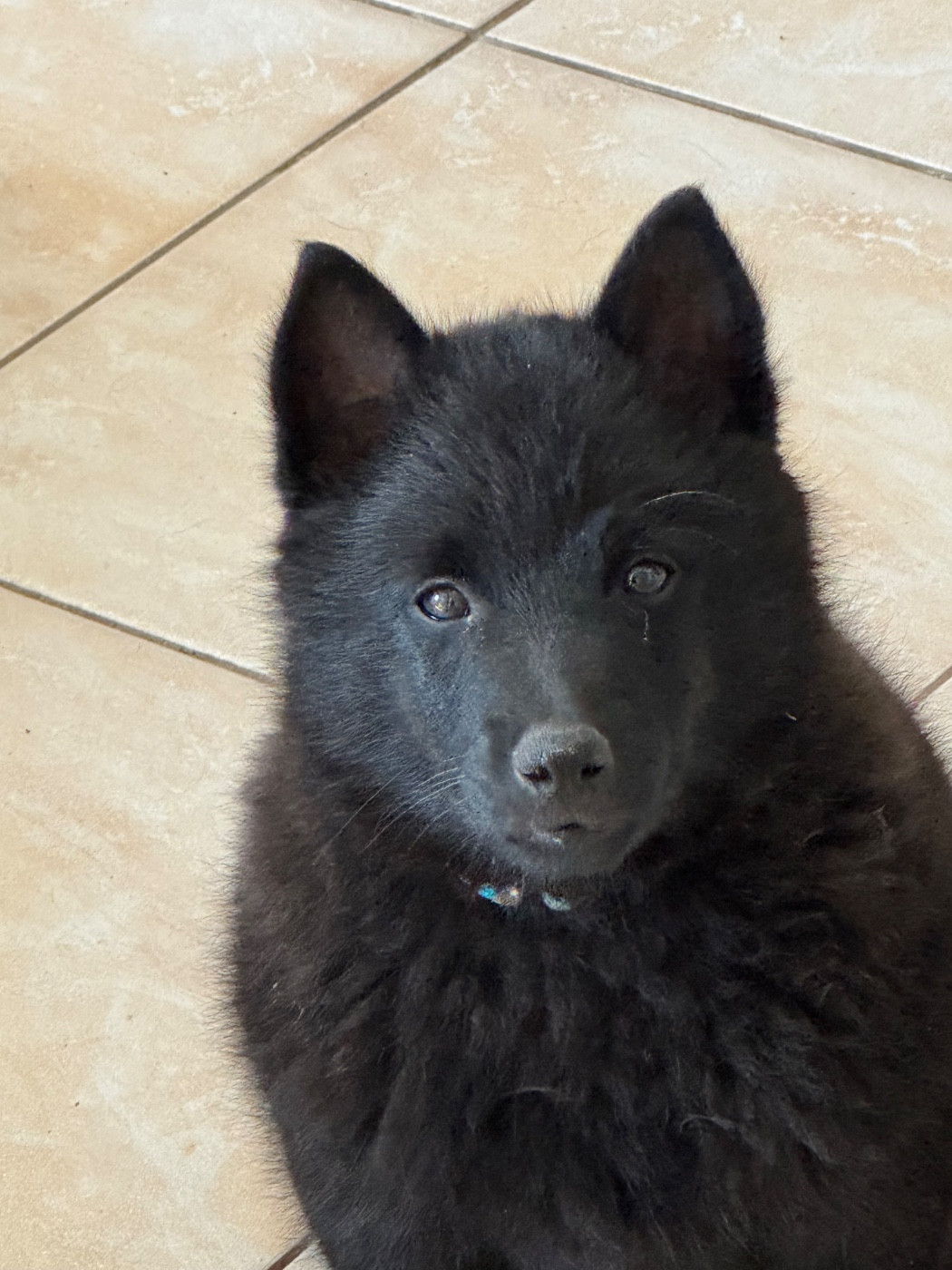 Publication : du Mas de Valaurine 