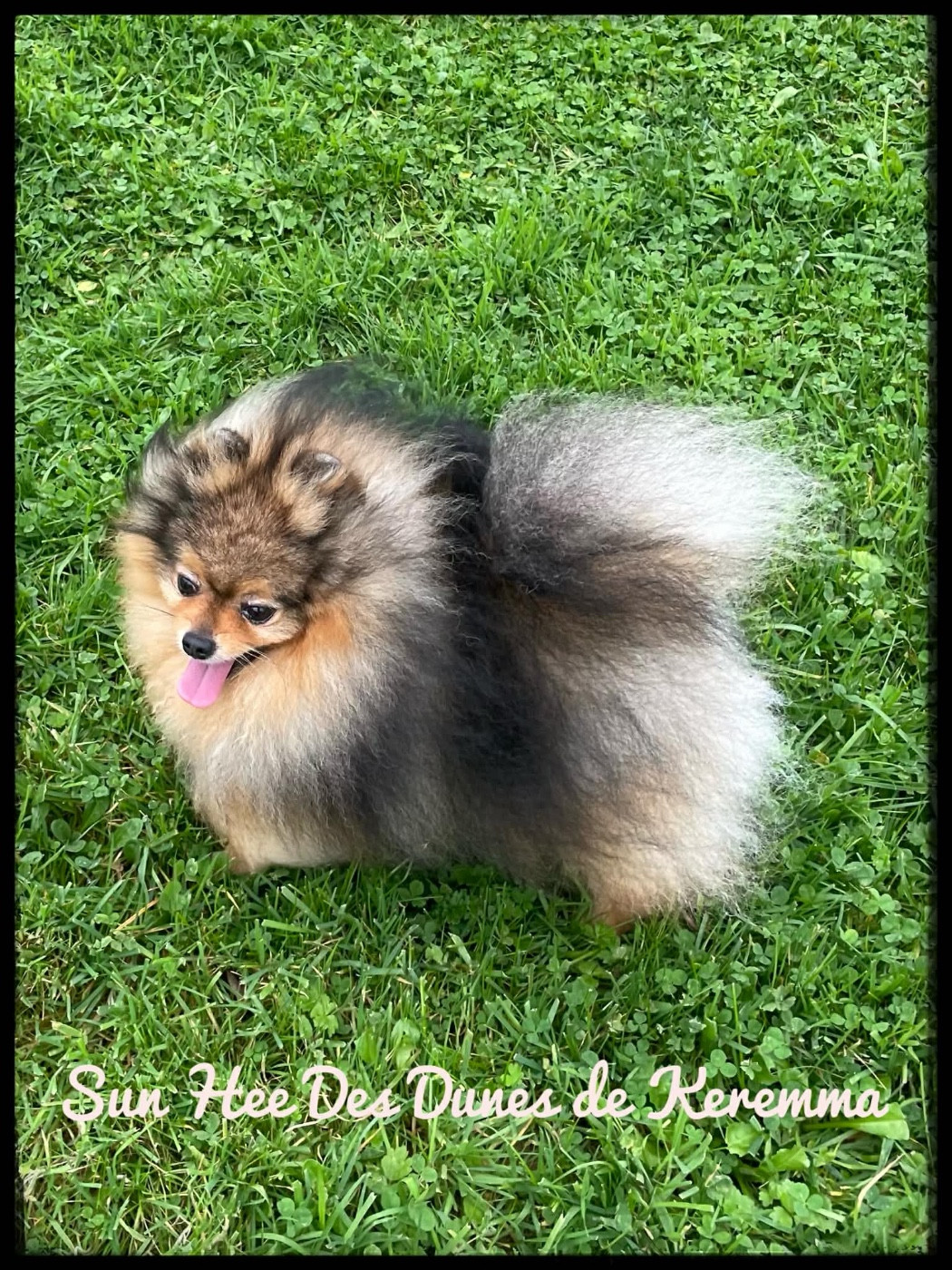 Sun hee Des Dunes De Keremma