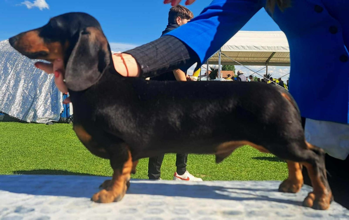 Publication : (Sans Affixe) 